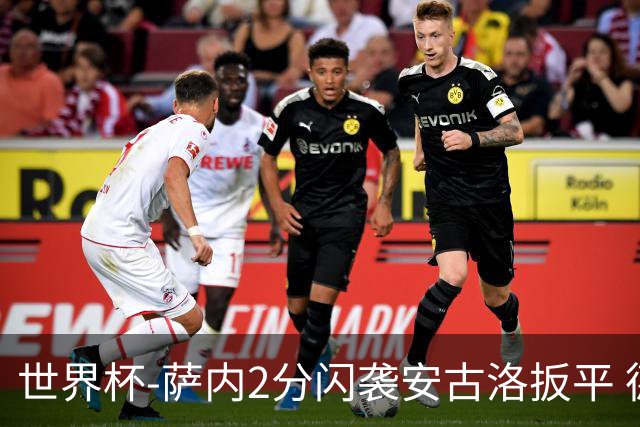世界杯-萨内2分闪袭安古洛扳平 德国半场1-1厄瓜多尔