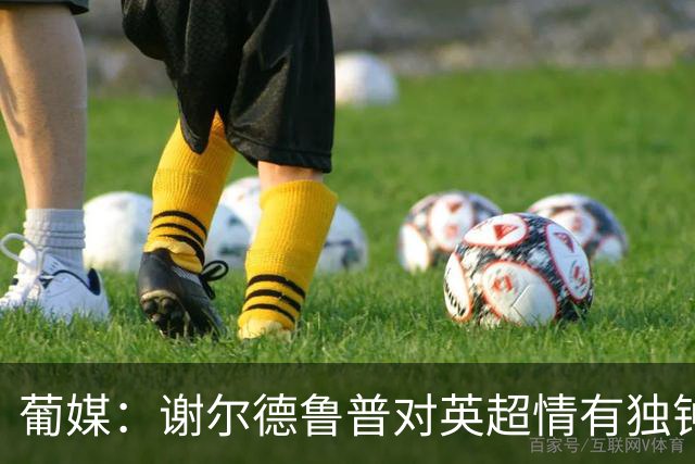 葡媒：谢尔德鲁普对英超情有独钟，俱乐部标价至少4000万欧